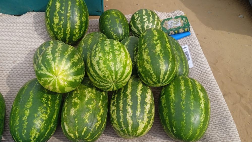 Продам местные вкусные арбузы и дыни!!!