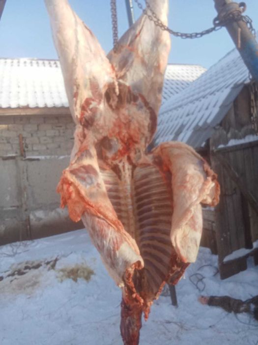 Продам мясо тая.
