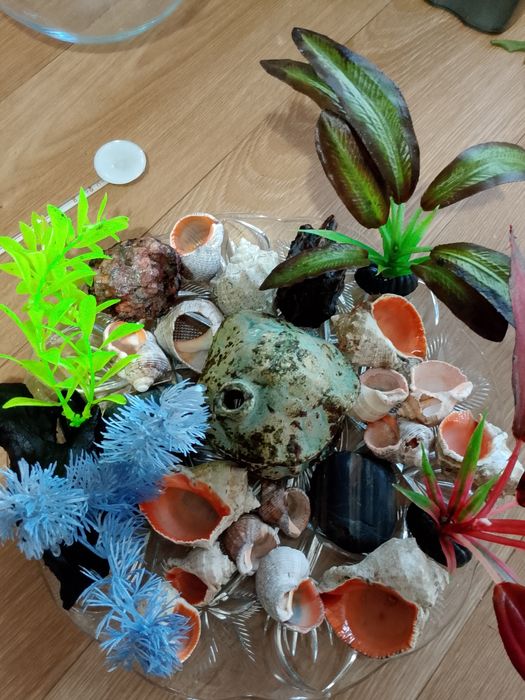 Дъно за аквариум