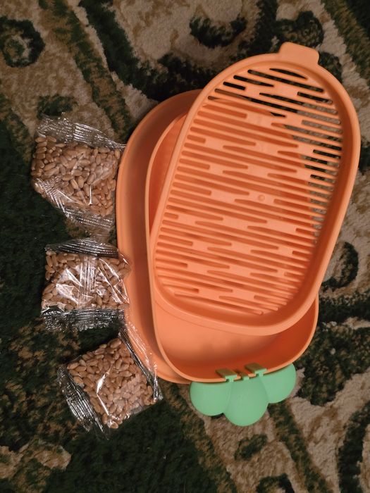 Трава для кошек и посуда