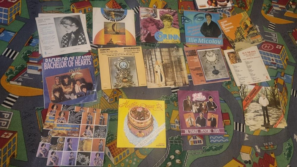 discuri de vinil
