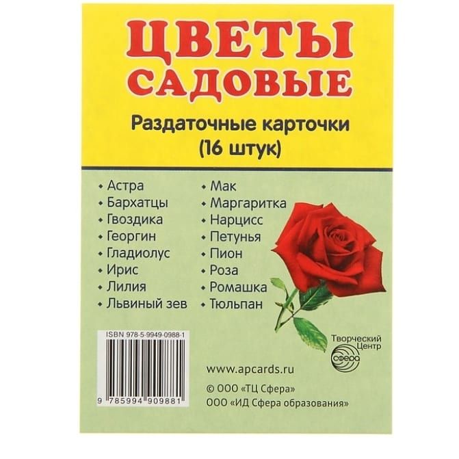 Карточки для малышей