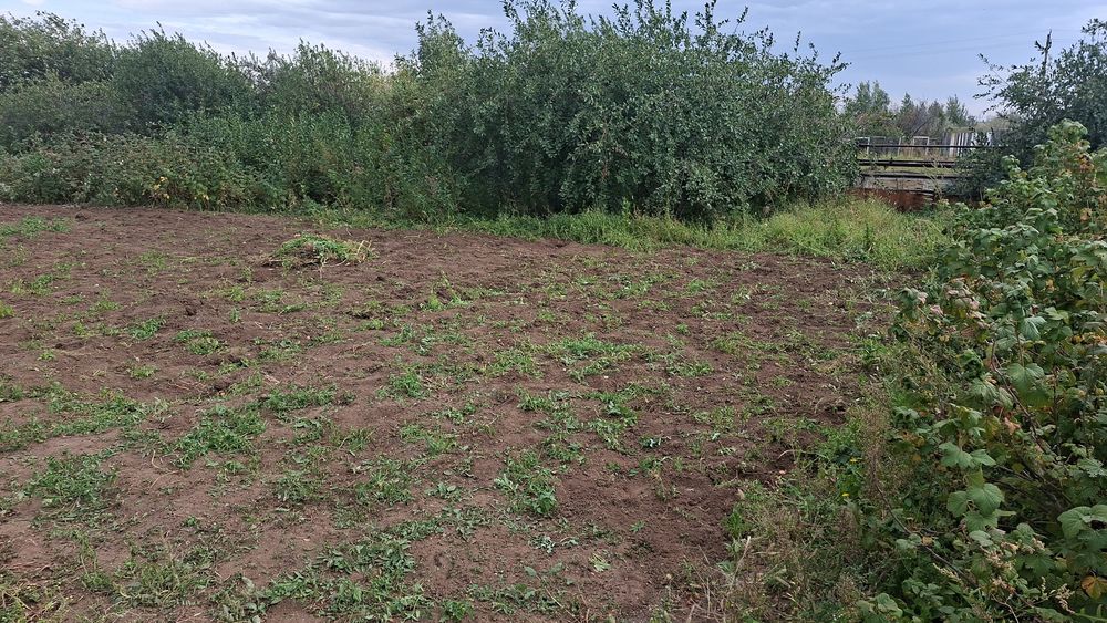 Продам дачу в обществе "Союз"