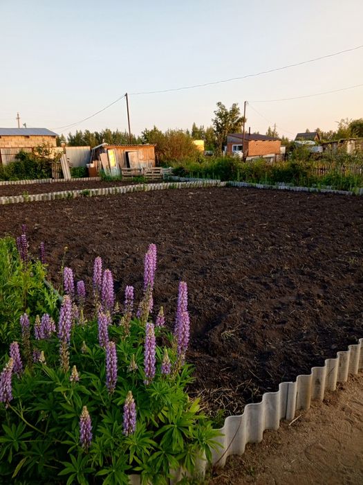 Дача 6 соток Борки