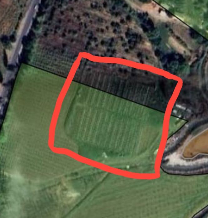 Теплица аренда 65 соток. Ункургон