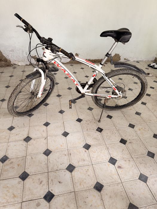 Zamonaviy velosiped tez va arzon narxda sotiladi