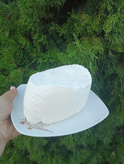 Brânză de vacă de vânzare