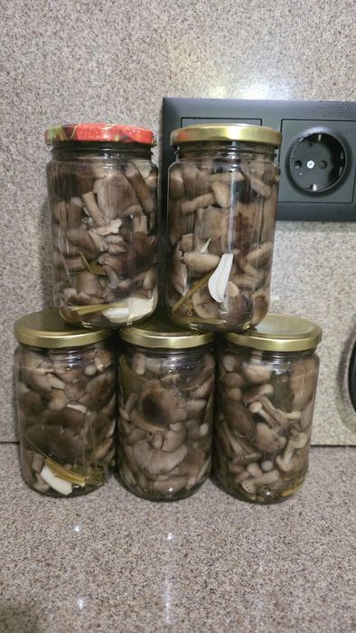 Грибы маринованные