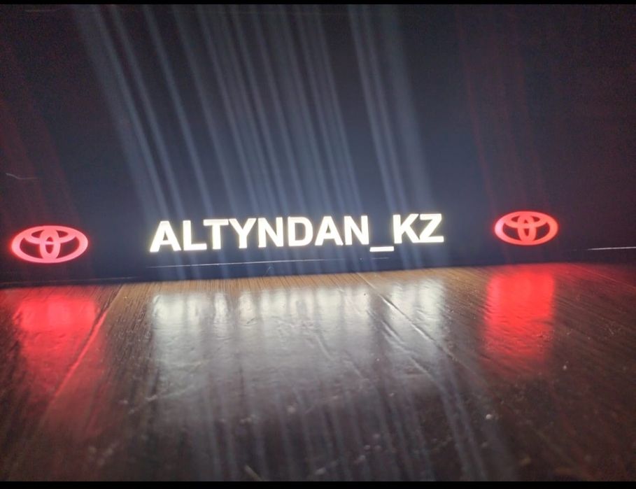 Led подномерники