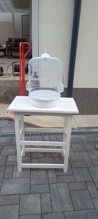 Colivie papagali și măsuță
