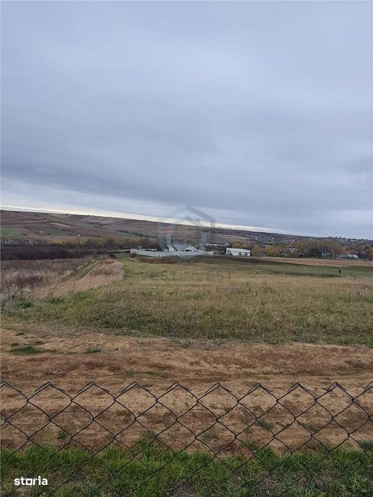 Teren Cetariu 9900 mp