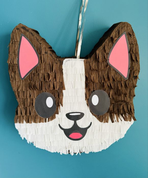 Куче пинята Кученце