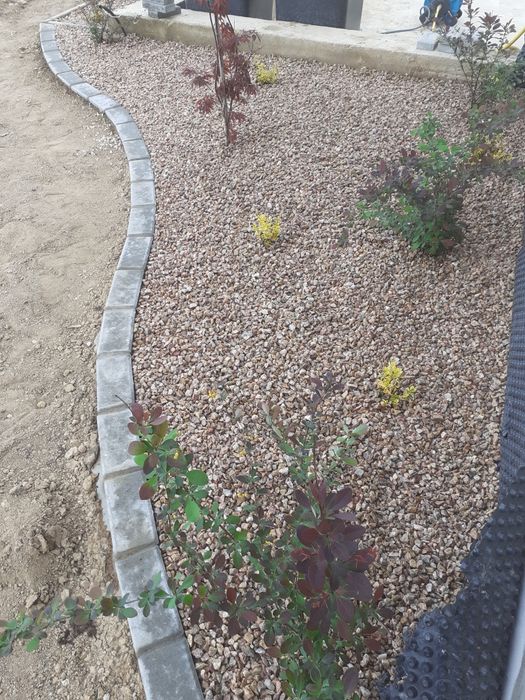 Pavaj, aleei, borduri , separatoarelor