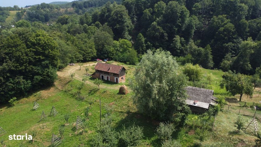 Teren de vânzare în comuna Cicănești, sat Bărăști, Judet Arges.