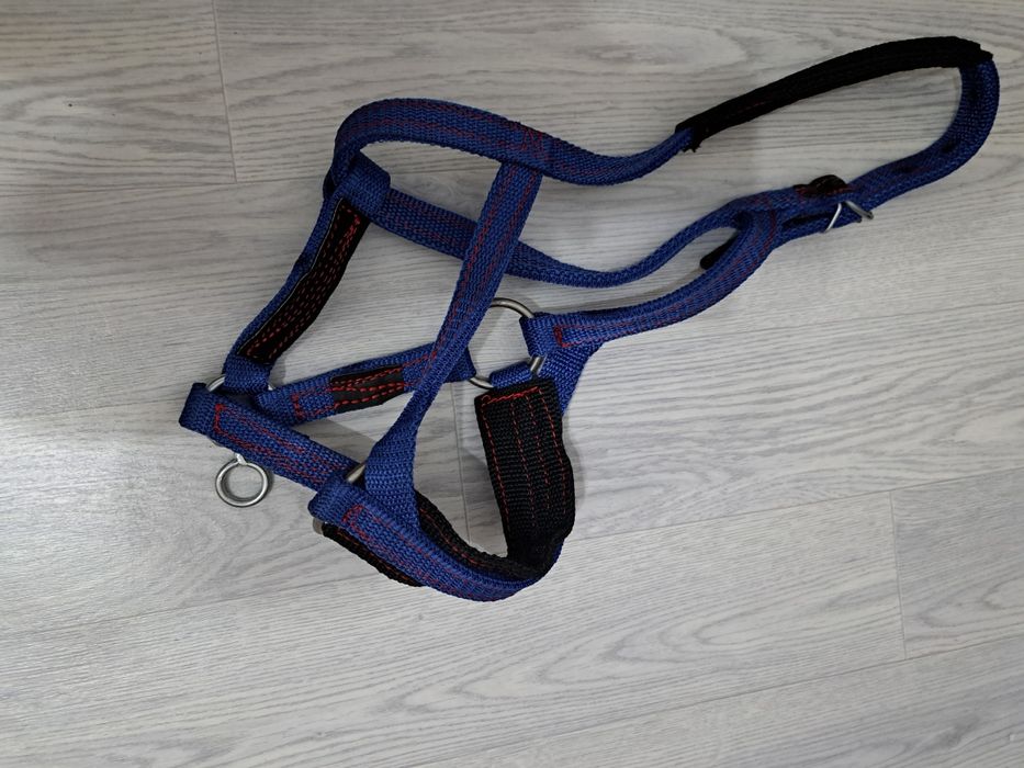 Жуген нокта сатылады