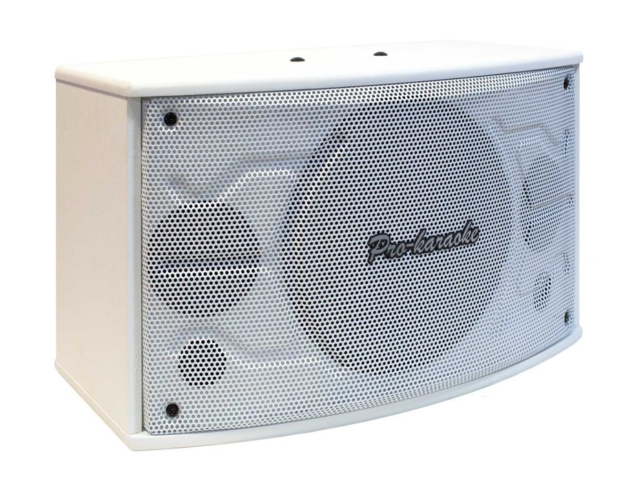 Караоке система для дома