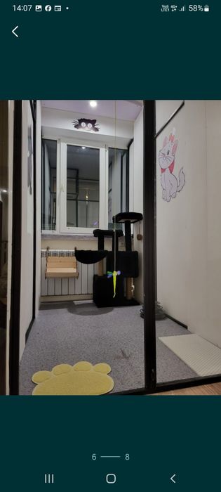 Гостиница для кошек.