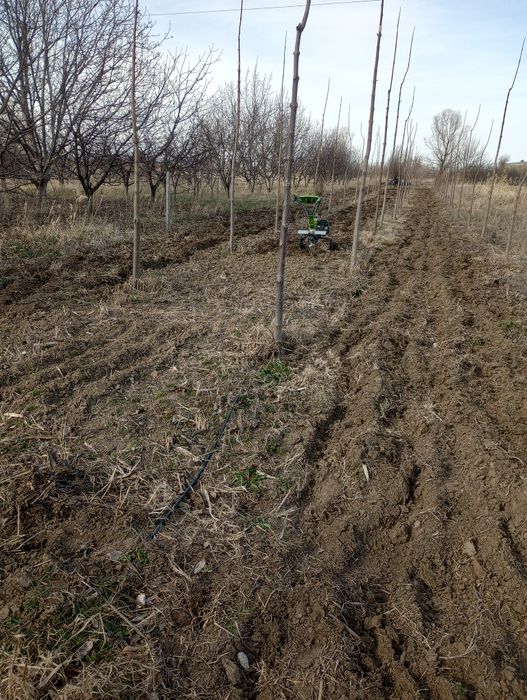 Оран,фрезоване,косене...

+ ФРЕЗОВАНЕ с мото