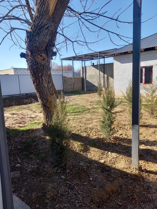 Дача на ташморе продаётся