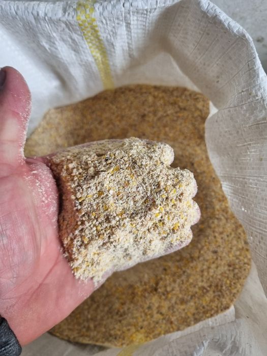 Vand porumb grau si faina amestec