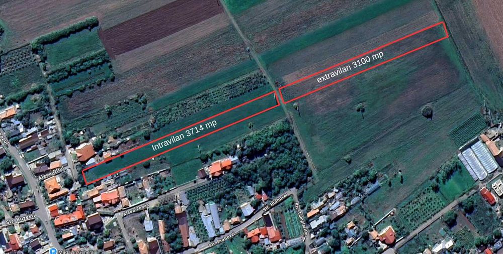 Teren intravilan + Extravilan - Tomsani (Magula) Prahova aproape de A3