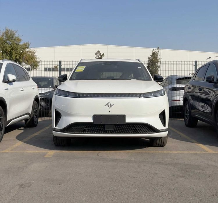 Dongfeng 008 Elektr