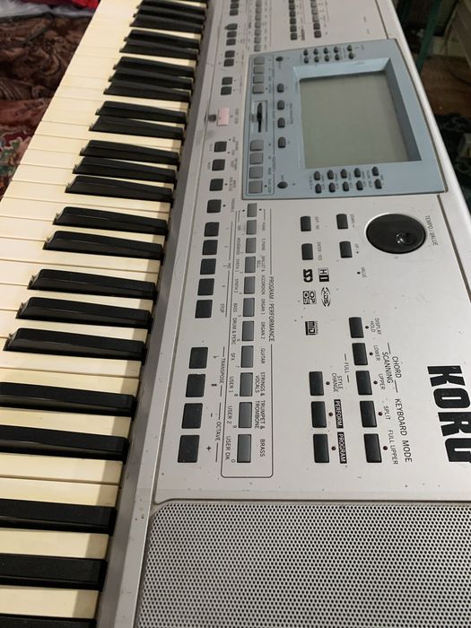 Korg pa 50 professional arranger
