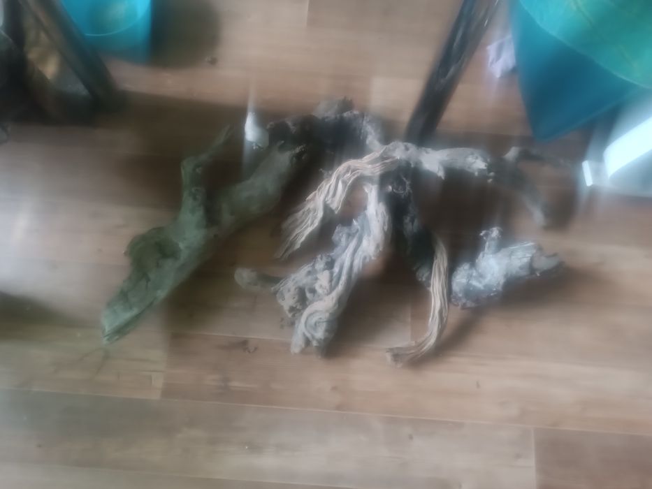Продам коряги с реки