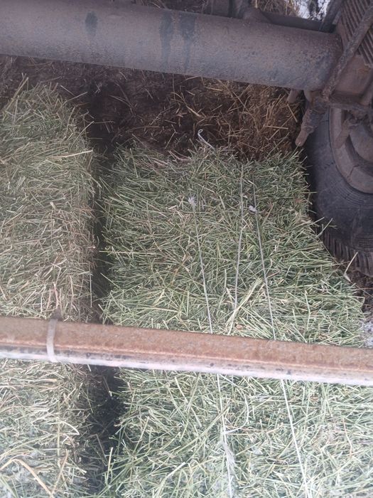 Жонышқа сатылады 3укос