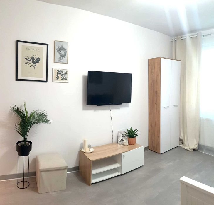 Garsoniera Regie, metrou Grozavesti, proprietar