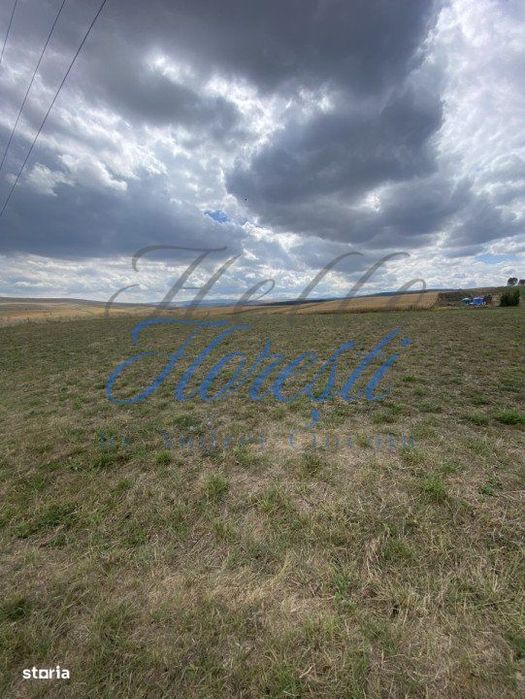 Teren de 1833 mp sat rediu