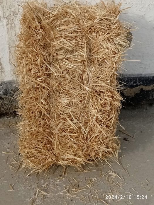 Jami soni 400 donadan kuproq