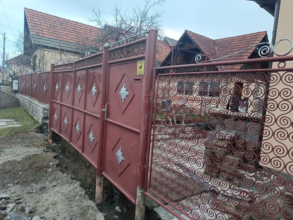 Poartă și gard metalic