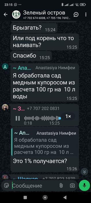 Продам дорого цветы
