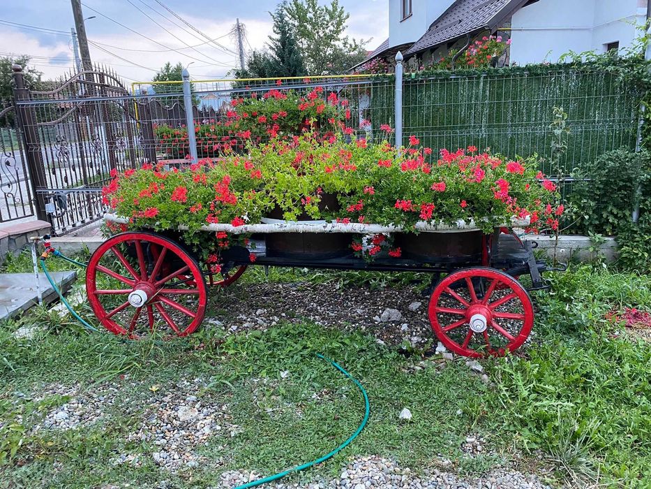 Căruță veche. Ornament gradina