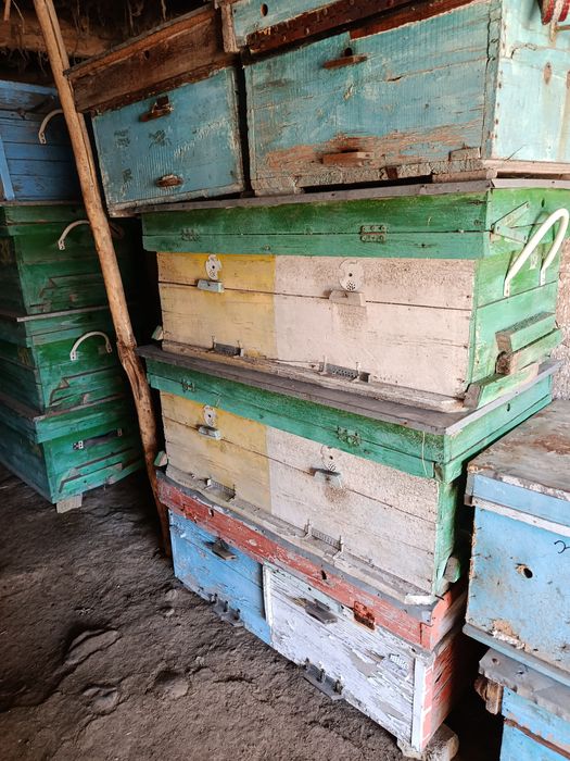 Asalari yashiklari komplekt