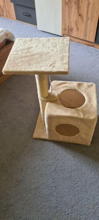 Котешка катерушка