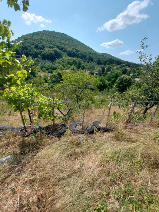 Продава се Къща в Търговище, Вилна зона - 66 кв.м за 247 €/кв.м - Снимка #8