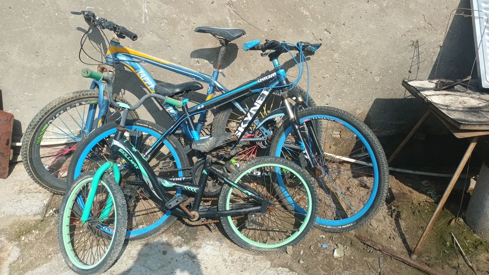 Велик сотилади нархи келшилган холатда пашти янги