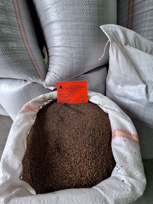 Sămânță Lucerna Certificata, Trifoi, Bromus, Sorg, Sudan, Iarba