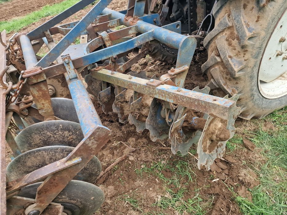 Disc sârbesc 6 talere