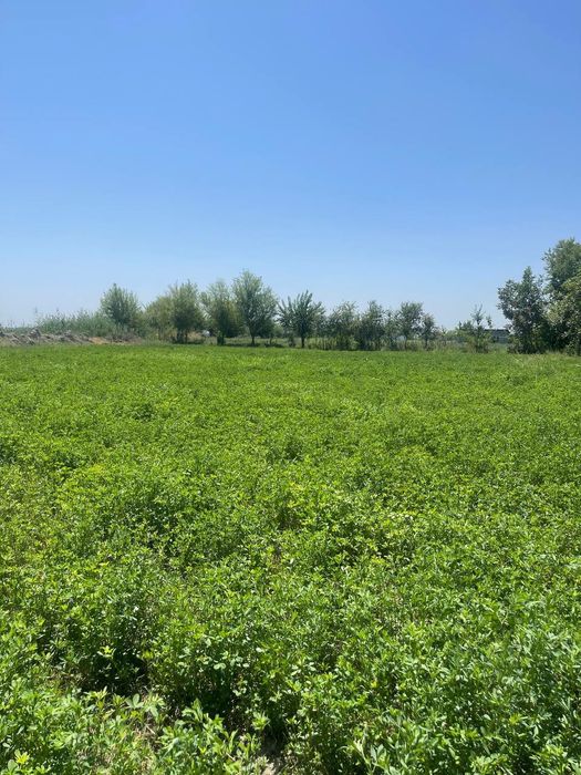 Продаётся 2 участка в одном месте!