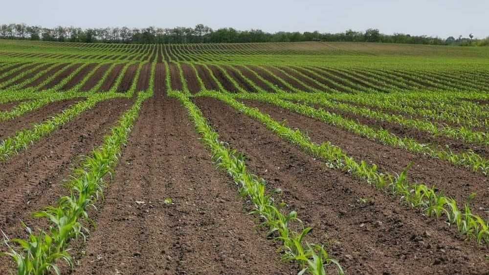 GPS Agricol - Sistem autoghidare Trimble - Garanția calității!