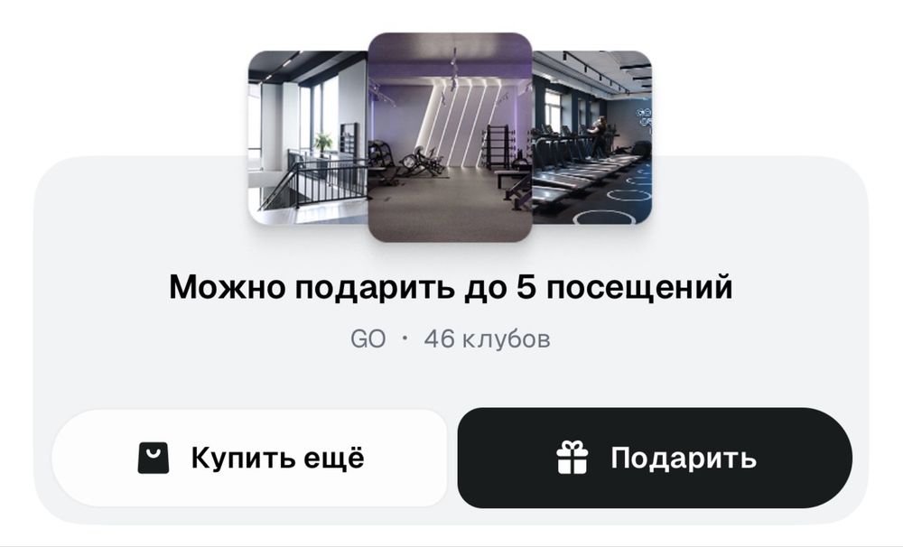 Годовой абонемент Invictus GO