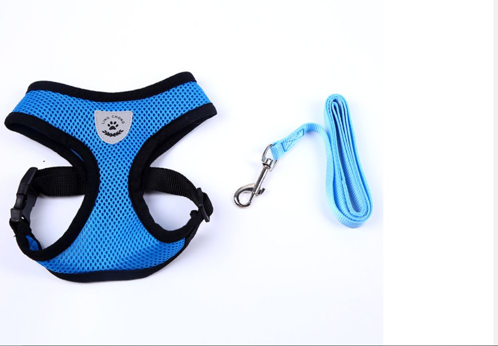 Каишка за малки кучета