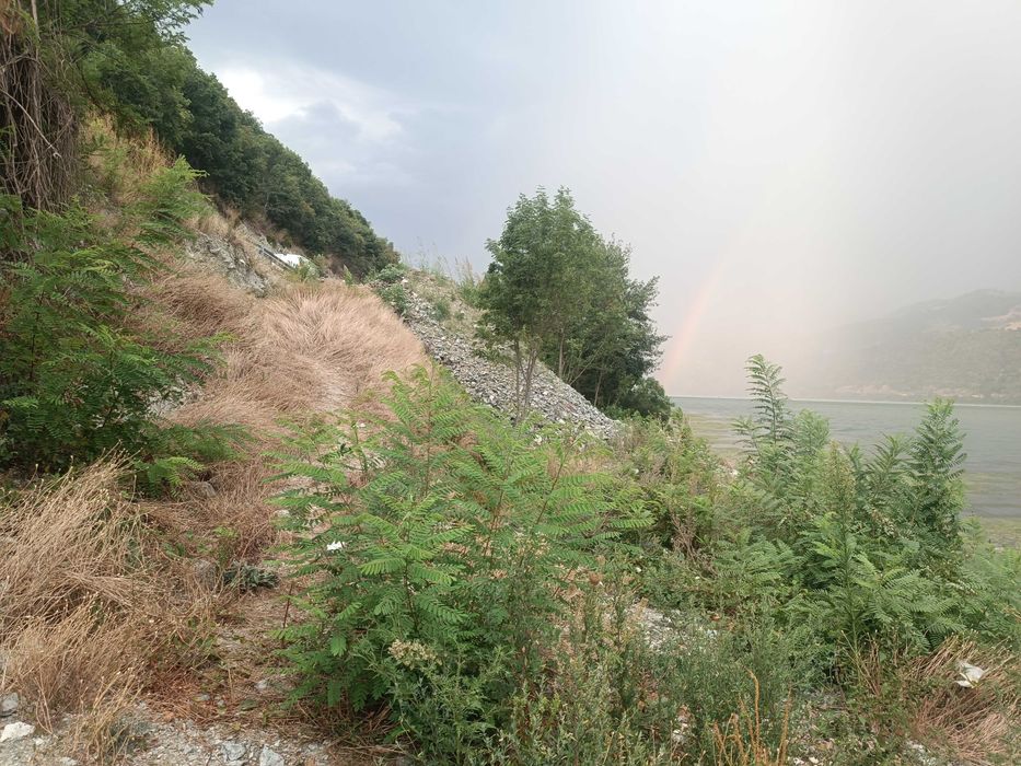 Loc de pescuit la Dunăre, Svinița