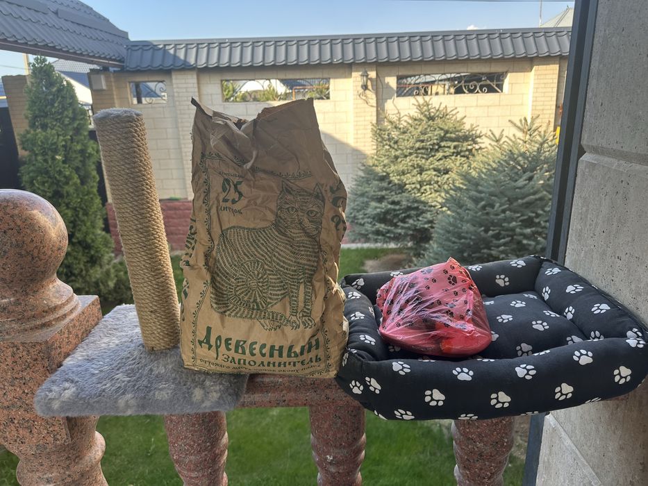Все нужное для кошек
