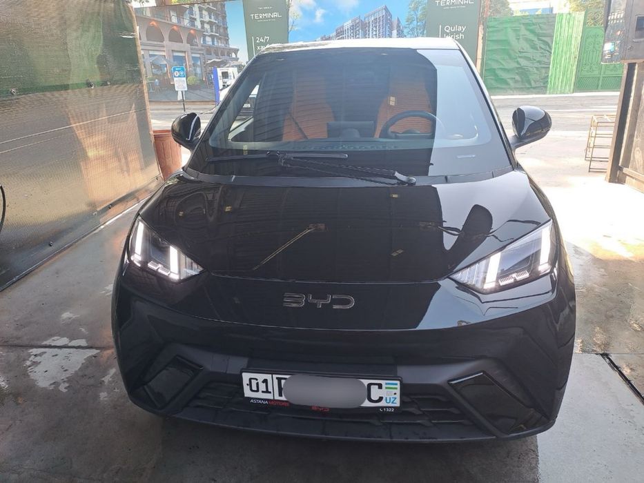 Byd Seagull 2024