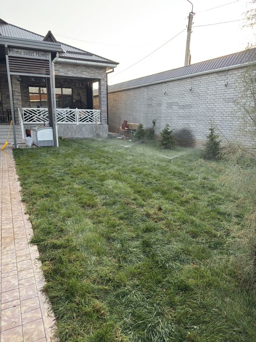 Газон готовый рулон оптом нархда