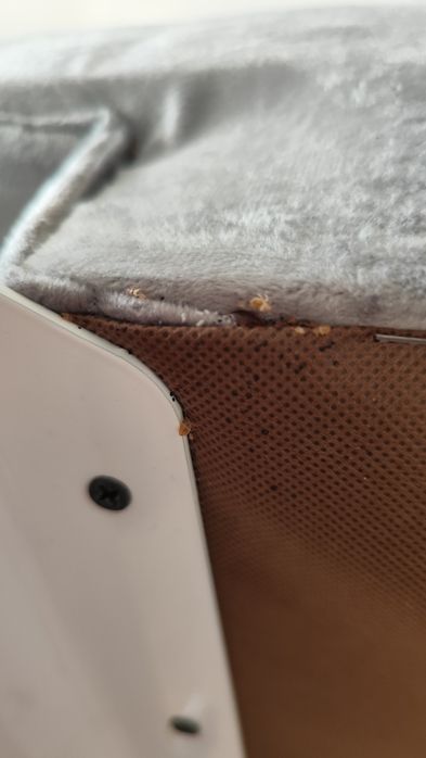 Обработка от всех видов насекомых